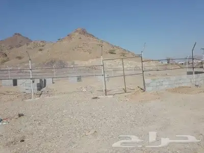 مقاول شبوك 1
