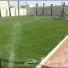 ثيل طبيعي 2
