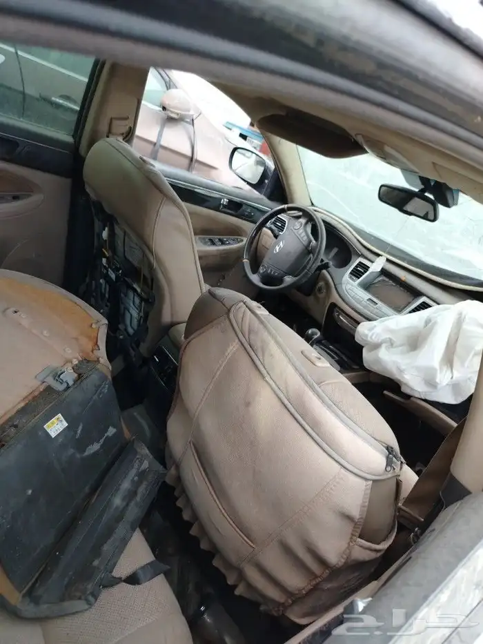 جنسس 2010 2
