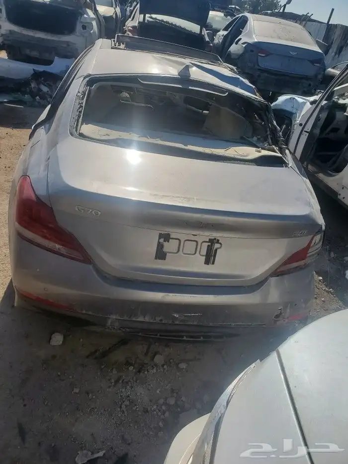 جينسس 2020 3