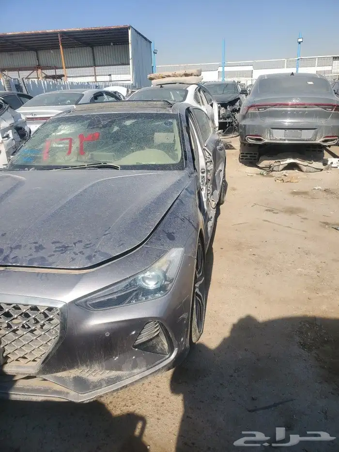 جينسس 2020 2