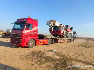 لوبد متواجد تبوك 0