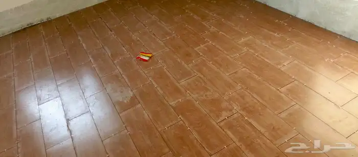 مبلط بلاط  شان  عبدالمج د 0