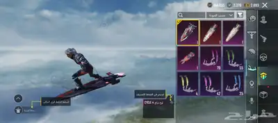 حساب ببجي للبيع 14