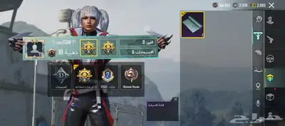 حساب ببجي للبيع 8