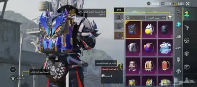 حساب ببجي للبيع 5