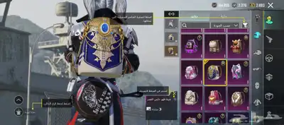 حساب ببجي للبيع 12