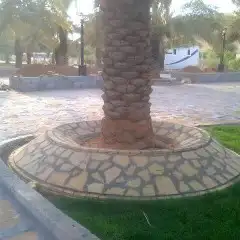 متخصص في مجال الزراعة والتنسيق 6