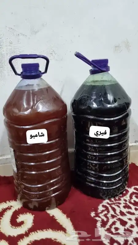 يوجد لدينا شامبو وفيري مكفول مشروط ماجاز لك ترجعه وتأخذ فلوك 1