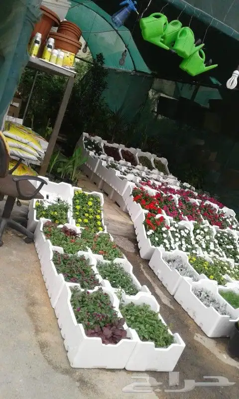 مشتل تنسيق حدائق 6