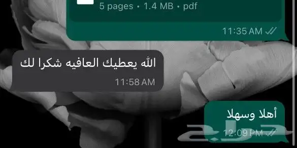 ترجمة معتمدة لأي لغة 4