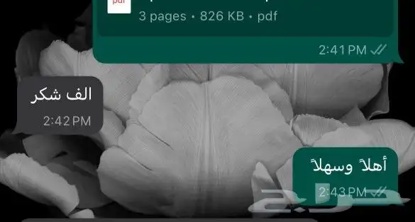 ترجمة معتمدة لأي لغة 3