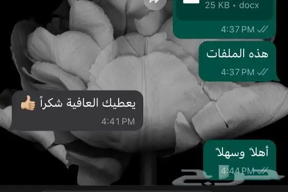 ترجمة معتمدة لأي لغة 6