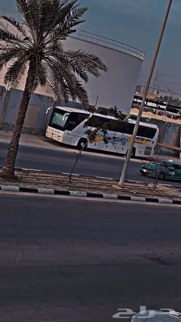 باص للايجار 2