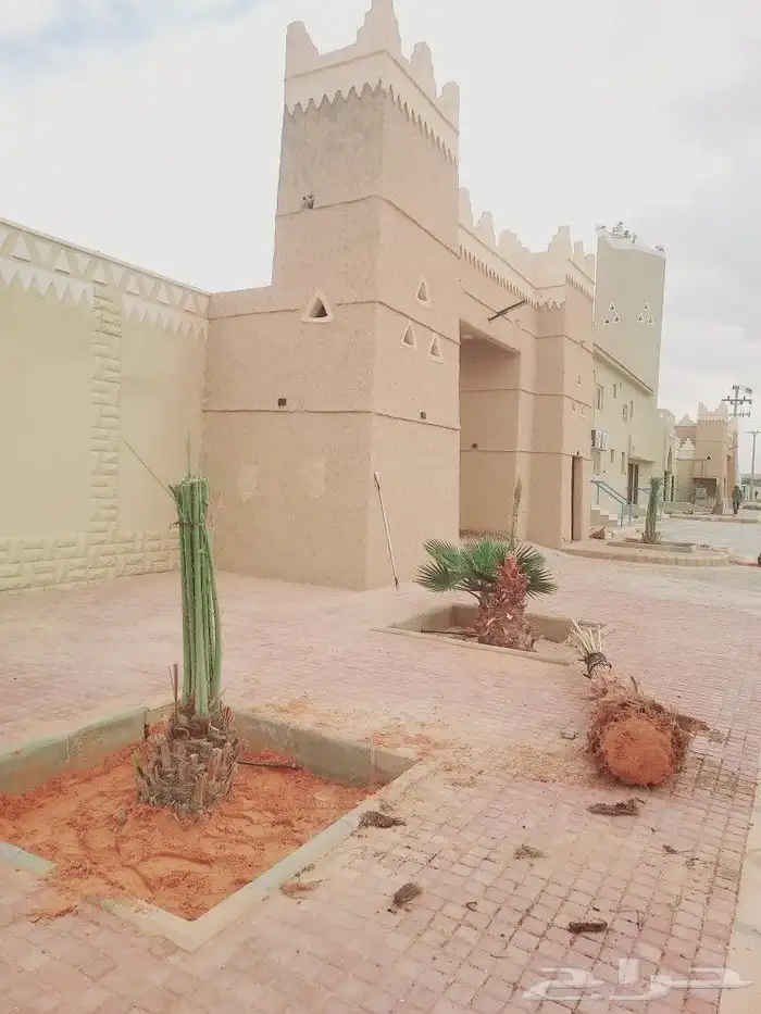 لشغل النخيل تكريب تحويض قلع وغرس 1