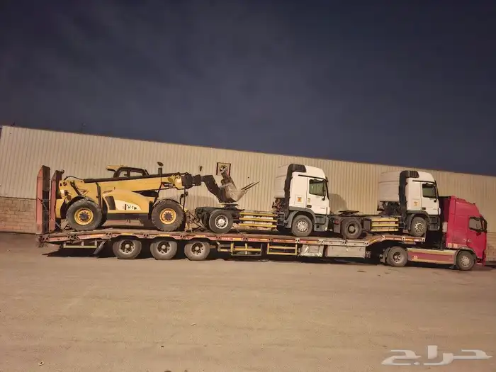 لوبد في تبوك 0