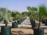 فسائل و نقايل 2