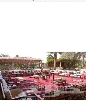 قهوجين وصبابين رجال ونساء كنب وكراسي طاولات خيم 8