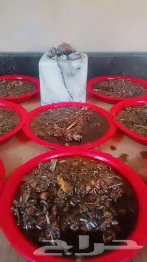 بخور عدني من قلب عدن إلى السعودية توصيل إلى أي مكان 4