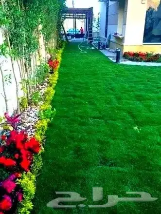 مزرعة الياسمين 1