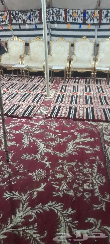تاجير مخيمات بيوت اوربي بيوت شعر خيام كراسي فرش 7