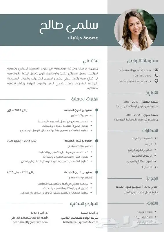 تصميم سيرة ذاتية احترافية CV 3