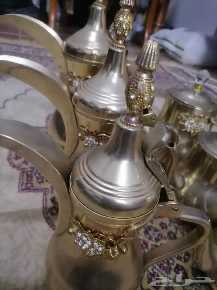براد ودله 6