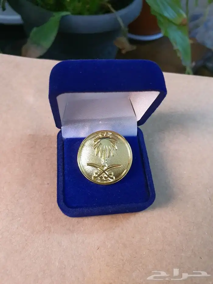 بروش اليوم الوطني ويوم التأسيس ويوم العلم 0