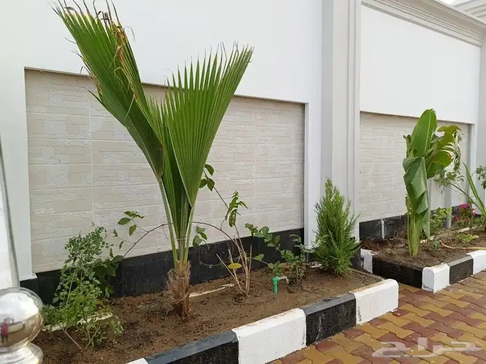 تنسيق حدائق جازان 9