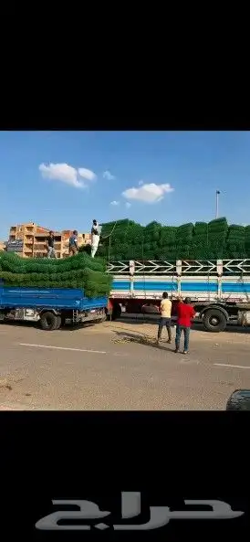 مقاول شبوك ونخيل الشرقية 8