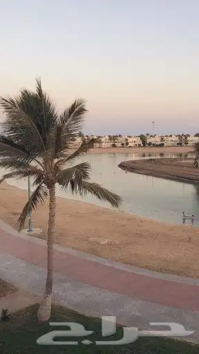 شاليه 3 غرف نوم وصالة درة العروس 2