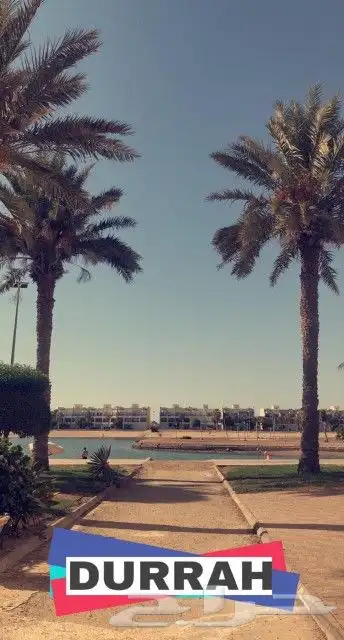 شاليه 3 غرف نوم وصالة درة العروس 0