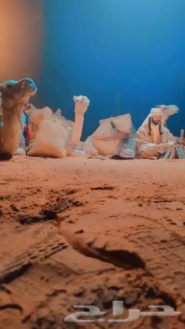 اجار جمال خيول رحول زلول راكبي بوني صقور 12