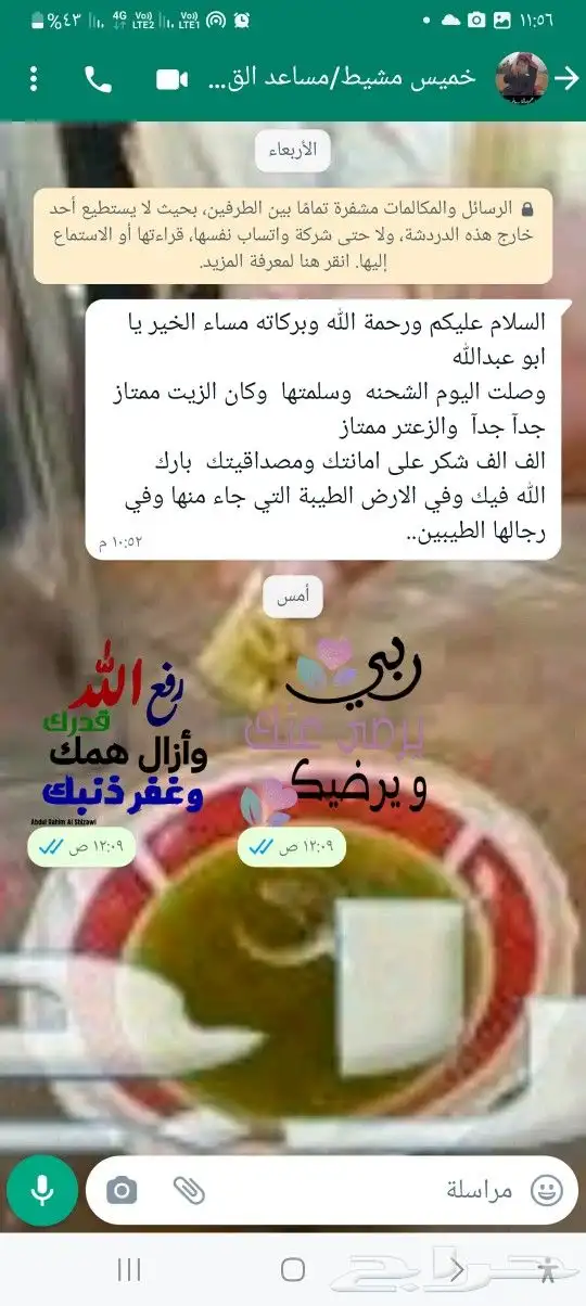 زيت زيتون فلسطيني بكر بعل جديد معصور على البارد فاخر جدا 20