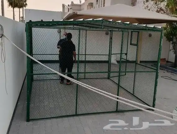 شبك حمام طيور اكل علف حبوب بياض دجاج 1