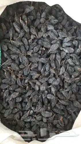 ذره بيضا جيزايه لبن سعر الكيس 280 وزن 77 كيلو...75.. 5