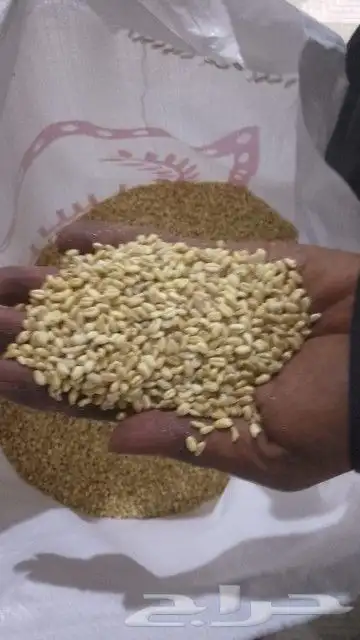 ذره بيضا جيزايه لبن سعر الكيس 280 وزن 77 كيلو...75.. 2