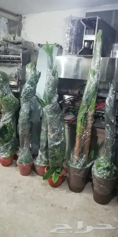 أشجار صناعية فاخرة 5