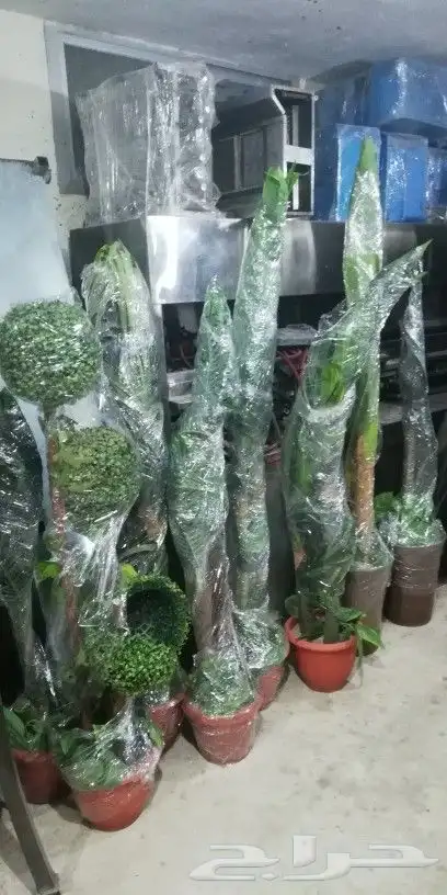 أشجار صناعية فاخرة 4