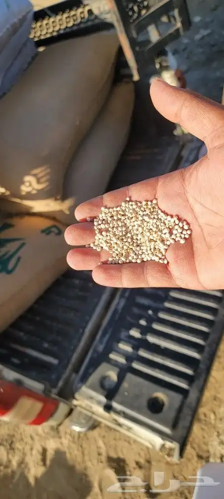 ذره بيضا جيزايه لبن سعر الكيس 280 وزن 77 كيلو...75.. 3