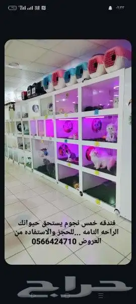 فندقه خمس نجوم لاجازه العيد 0