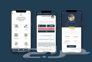 برمجة تطبيقات الجوال وتصميم مواقع الويب والمتاجر 6