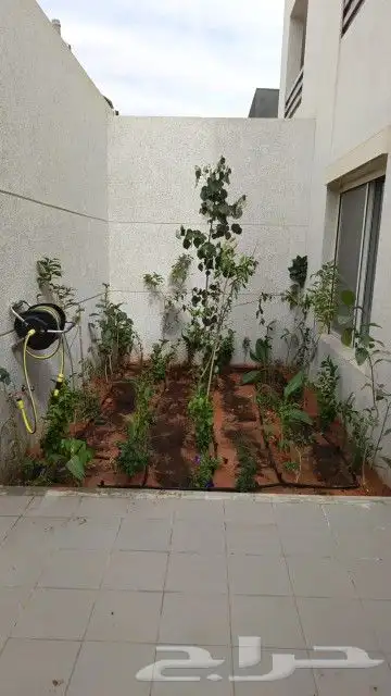تنسيق حدائق 4