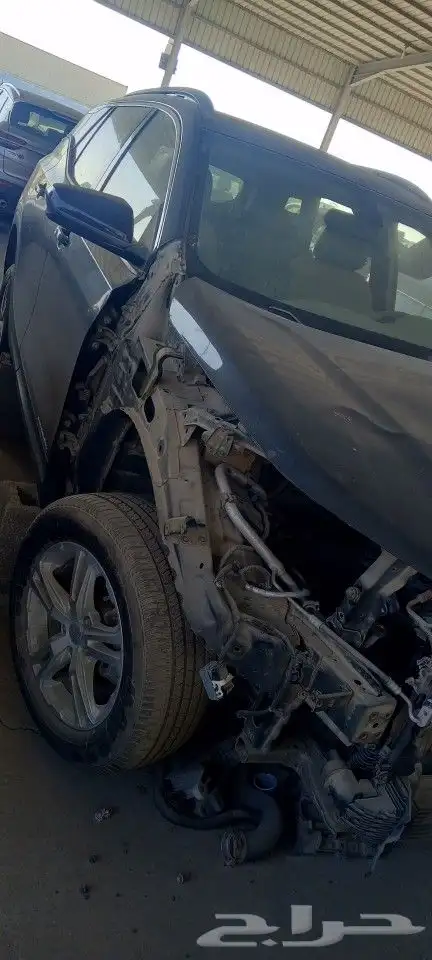 جمس ترين 2019 2