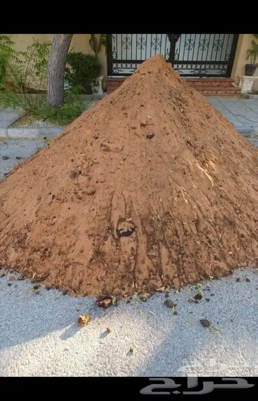 رمل زراعة الجبيل 1