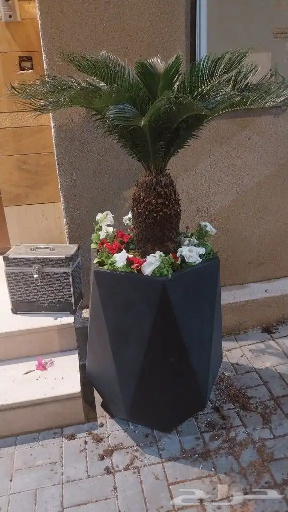 كل ما يخص الحدائق الزراعيه طبيعي وشبكات الري قص نخيل قص واشج 3