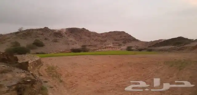 للبيع مزرعة خط الفطيحة بوادي رملان 8