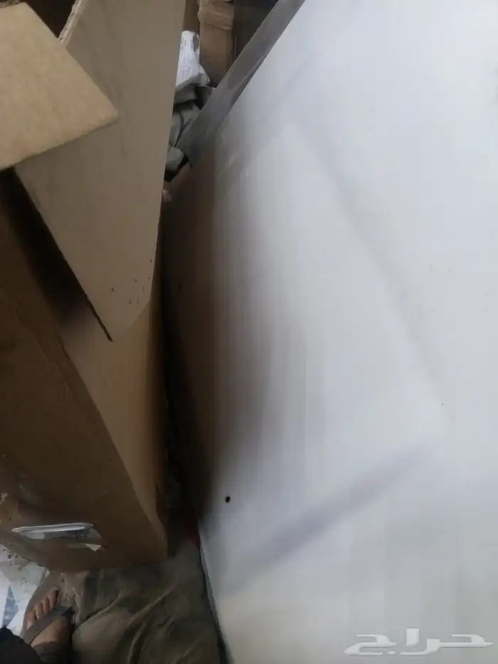 رفارف كبوت وكاله شد بلاد شاص 7