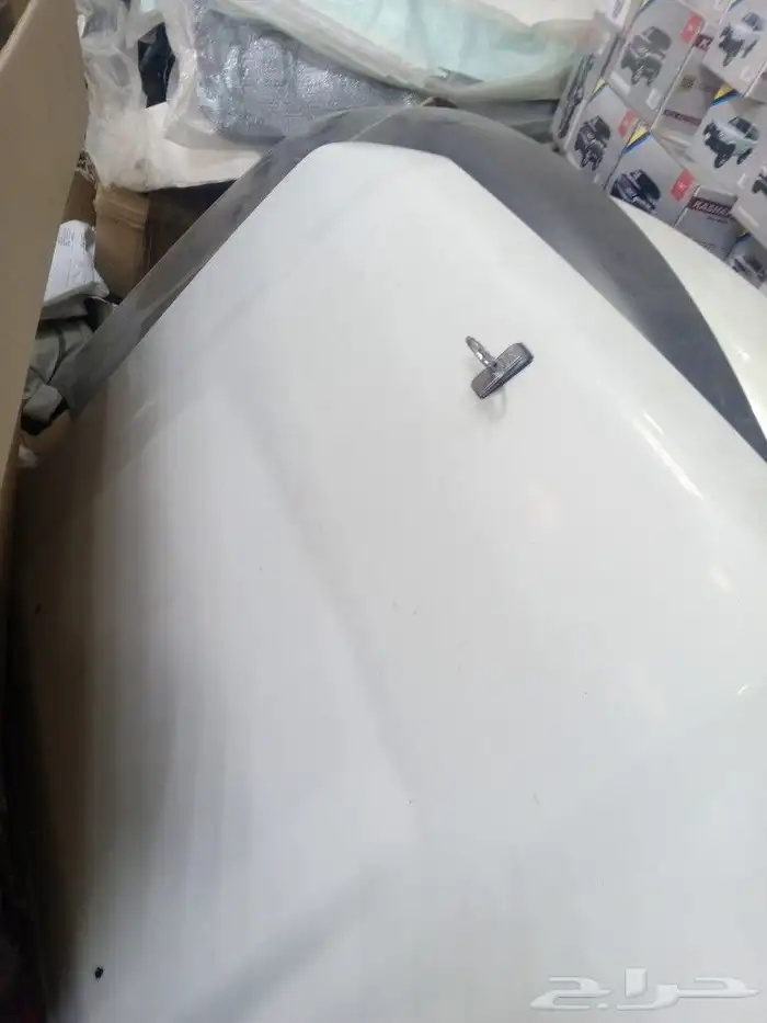 رفارف كبوت وكاله شد بلاد شاص 3