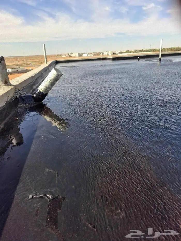 الفيصل العوازل 1